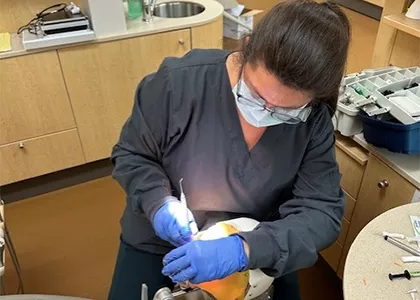 Dental assistant providing a patient with care