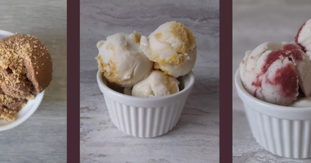 Fifth Scoop vegan ice cream