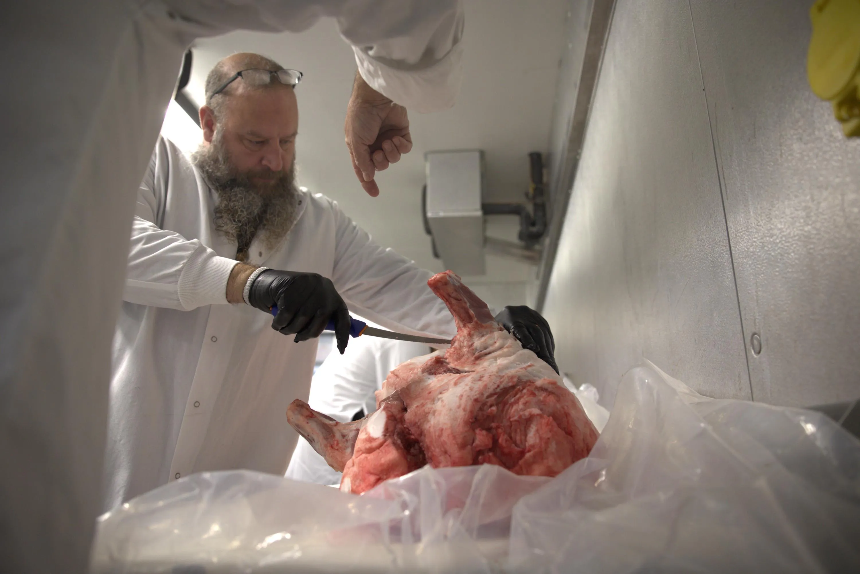 A student in the Artisanal Butchery Program cutting up meat.
