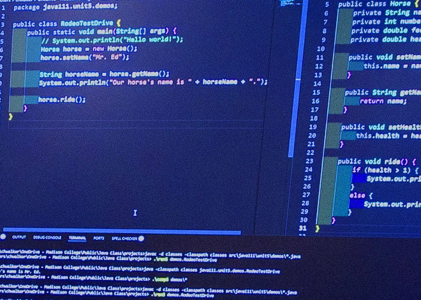 web developer java code screenshot