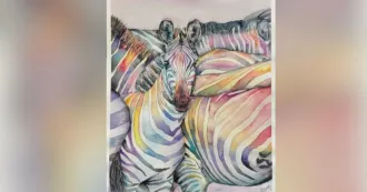 Watercolor of multicolored zebras by artist Jane Braatz.