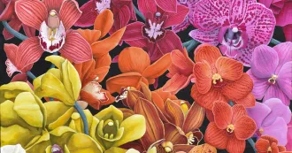 Kevin Lempp's Pangender Pride