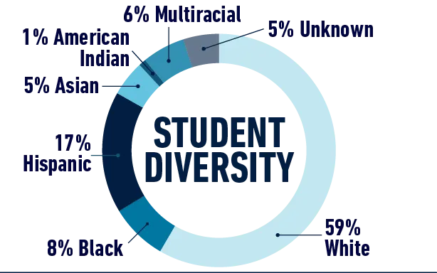 Student Diversity White 59%, Black 8%,Hispanic 17%, Asian 5%, American Indian 1%, Multi Racial 6%, Unknown 5%