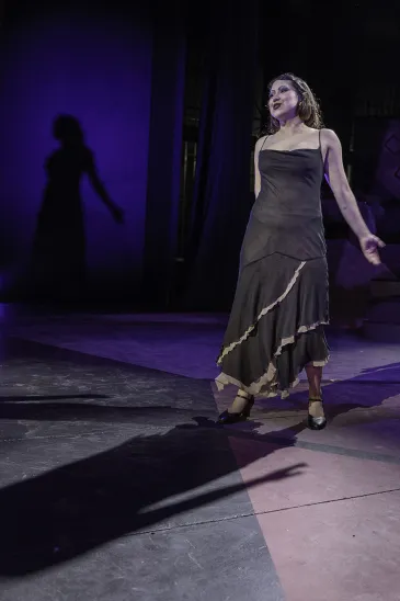 Sally from Cabaret in a black dress on stage with her shadow in the background