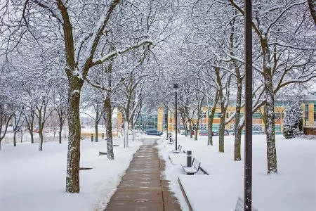 Weather & Climate Studies Certificate