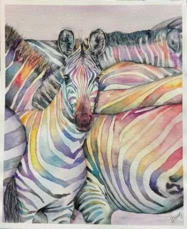 A watercolor of zebras from artist Jane Braatz.